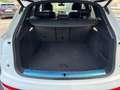 Audi Q5 40 TDI EDITION ONE S LINE VIRTUAL MATRIX 21 Bianco - thumbnail 11