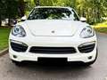 Porsche Cayenne S*SPORT-AGA*S-DACH*STANDHZ*AHK*BRAUNLEDE Blanc - thumbnail 2