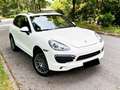 Porsche Cayenne S*SPORT-AGA*S-DACH*STANDHZ*AHK*BRAUNLEDE White - thumbnail 10