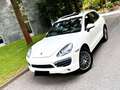 Porsche Cayenne S*SPORT-AGA*S-DACH*STANDHZ*AHK*BRAUNLEDE Blanc - thumbnail 3