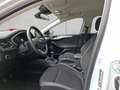 Ford Focus Cool & Connect Blanco - thumbnail 7