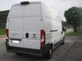 Fiat Ducato 35 2.3 MJT 130CV LH3 Euro6 Bianco - thumbnail 3