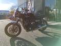 Triumph Speed Twin Noir - thumbnail 3