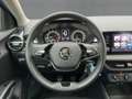 Skoda Fabia 1.0 TOUR LED+APP+DAB+MFA+MFL+GRA+PDC+KLIMA Blau - thumbnail 10