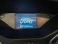 Ford Focus Focus SW 2.0 tdci Business 115cv powershift Argento - thumbnail 11