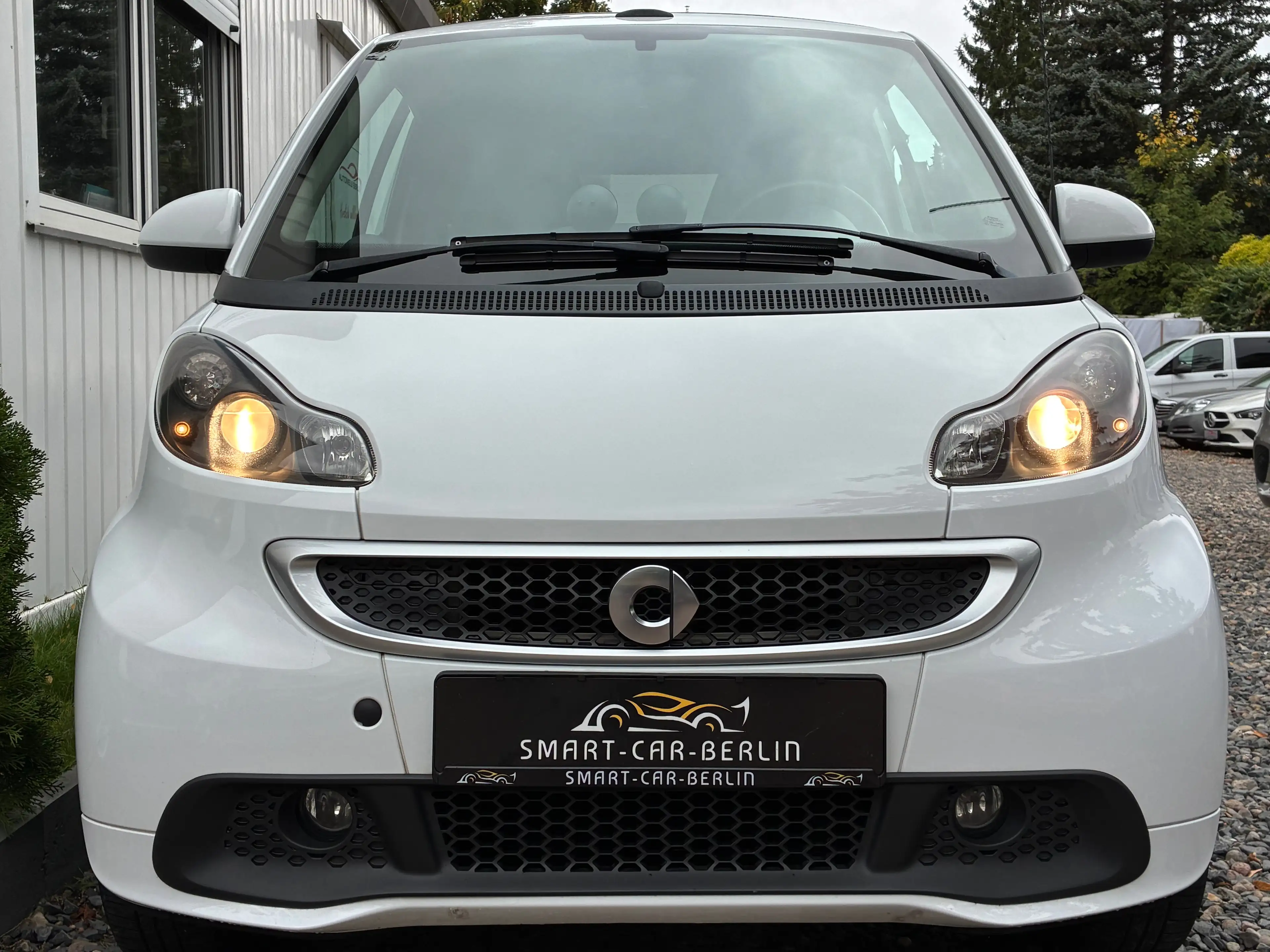 smart forTwo smart fortwo cabrio Brabus Tailormade — photo 3