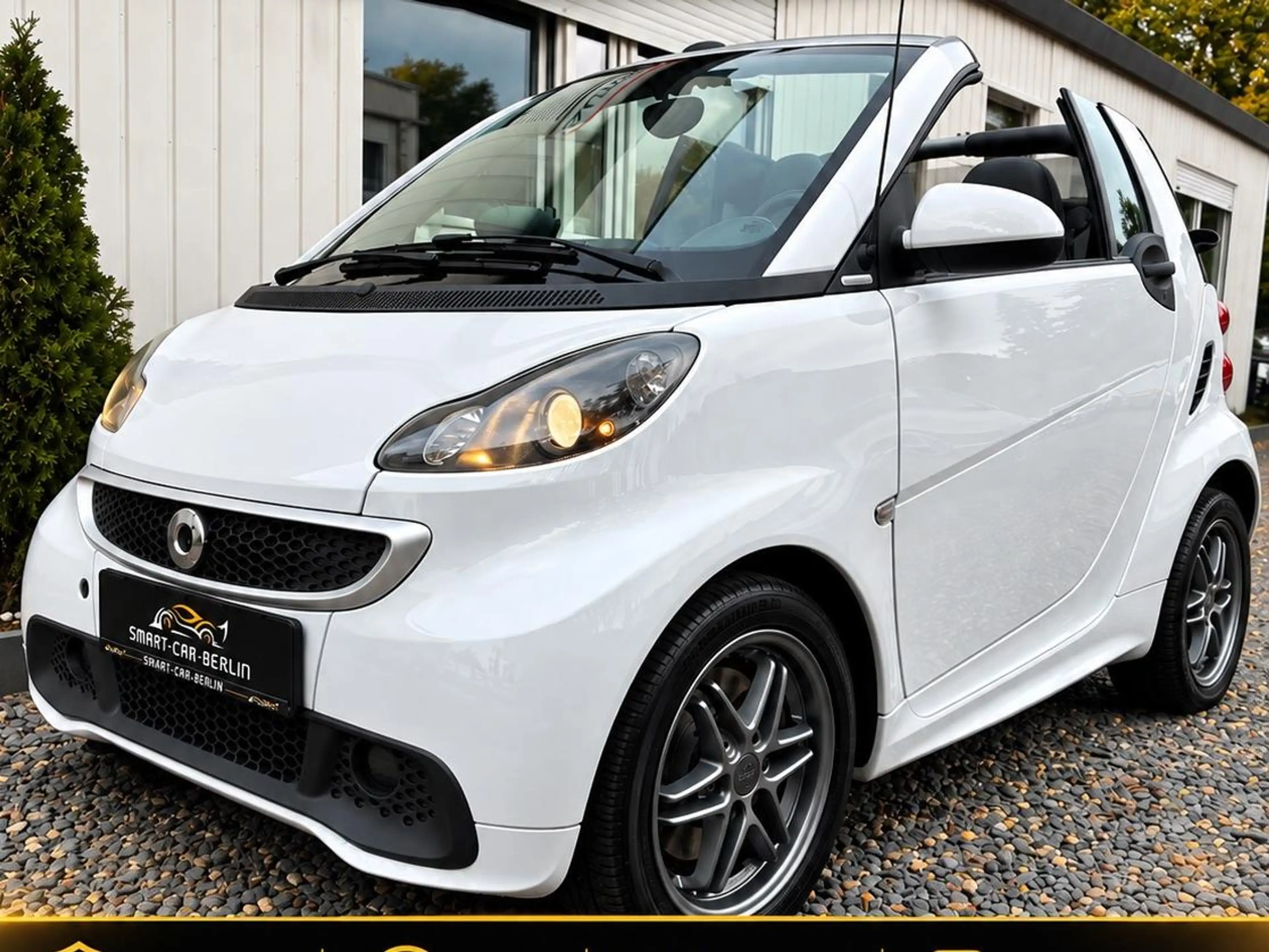 smart forTwo smart fortwo cabrio Brabus Tailormade