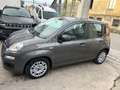 Fiat Panda III1.0 firefly hybrid City Life SOLO 21300 KM Gris - thumbnail 18