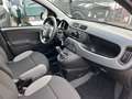 Fiat Panda III1.0 firefly hybrid City Life SOLO 21300 KM Gris - thumbnail 10