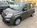 Fiat Panda III1.0 firefly hybrid City Life SOLO 21300 KM Gris - thumbnail 3