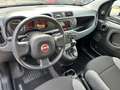 Fiat Panda III1.0 firefly hybrid City Life SOLO 21300 KM Gris - thumbnail 16