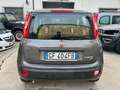 Fiat Panda III1.0 firefly hybrid City Life SOLO 21300 KM Gris - thumbnail 4