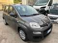 Fiat Panda III1.0 firefly hybrid City Life SOLO 21300 KM Gris - thumbnail 1