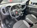 Fiat Panda III1.0 firefly hybrid City Life SOLO 21300 KM Gris - thumbnail 13