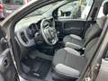 Fiat Panda III1.0 firefly hybrid City Life SOLO 21300 KM Gris - thumbnail 12