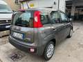 Fiat Panda III1.0 firefly hybrid City Life SOLO 21300 KM Gris - thumbnail 6