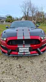 Mustang Fastback V8 5.0 421 GT