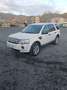 Land Rover Freelander 2.2 td4 S 150cv - thumbnail 1