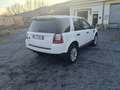 Land Rover Freelander 2.2 td4 S 150cv - thumbnail 4