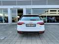 Audi A4 S line 45 TFSI quattro S tronic FariLED Cerchi18 Bianco - thumbnail 17