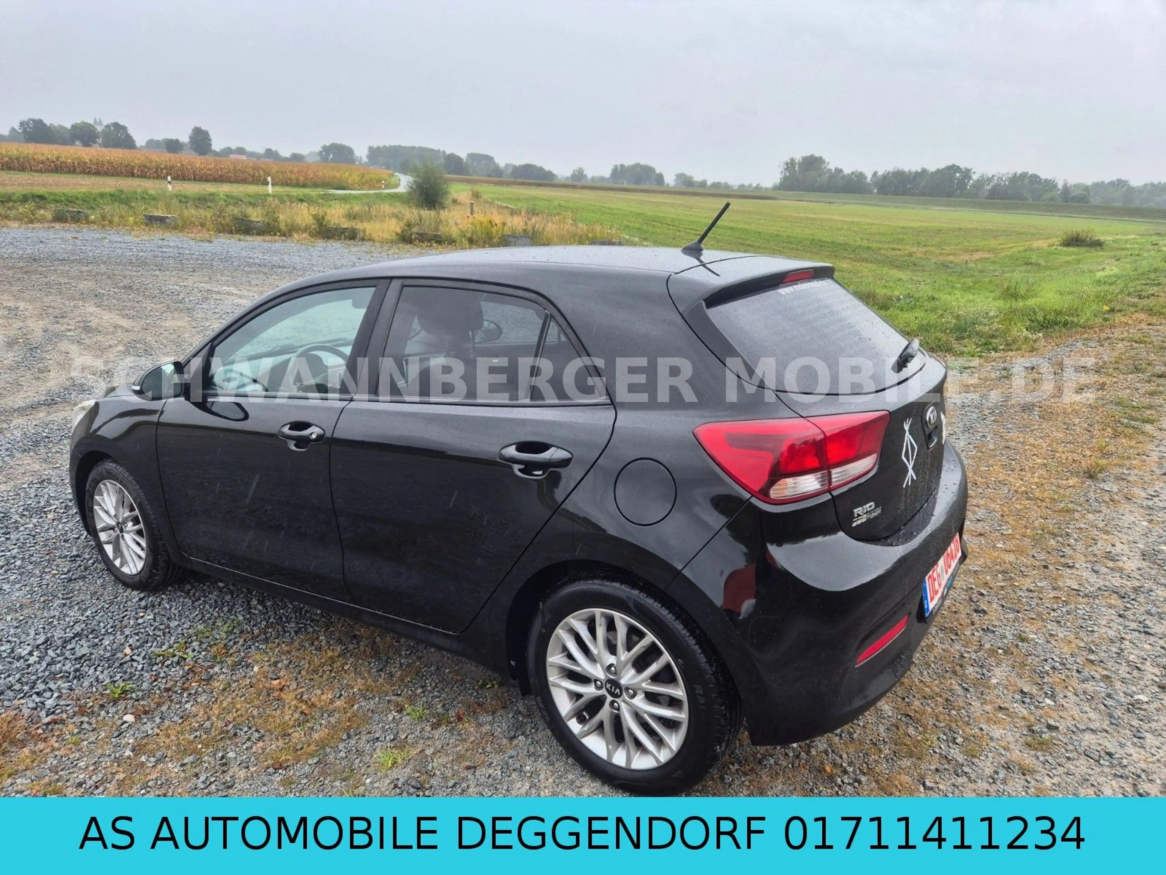 Kia Rio Dream Team-KLIMA-SHZ-PDC-EURO6 — photo 5