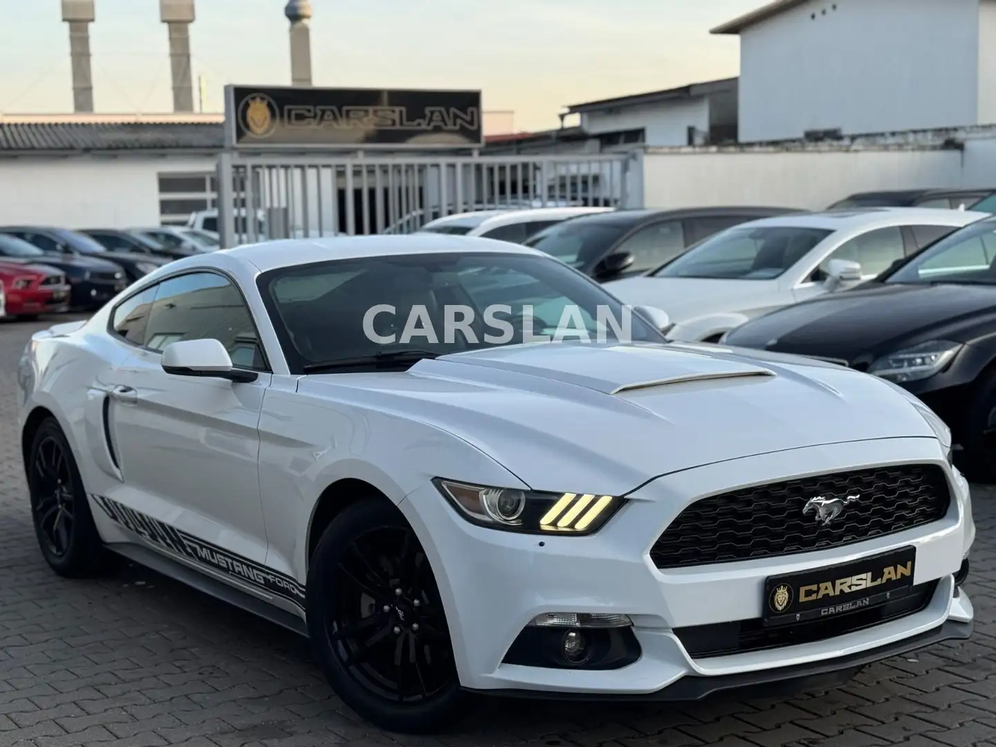Ford Mustang 2.3 NAVI+LED+R.KAM+SBL+SHZ+Bi-XENON+KEYL Bílá - 1