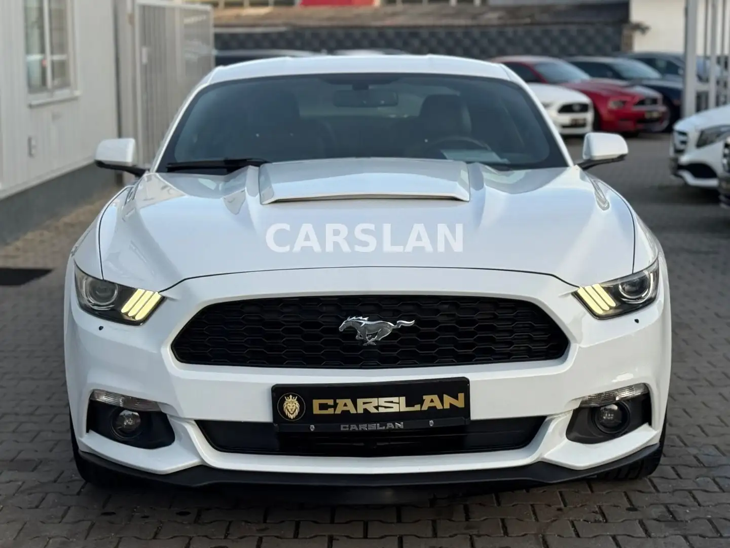 Ford Mustang 2.3 NAVI+LED+R.KAM+SBL+SHZ+Bi-XENON+KEYL Bílá - 2
