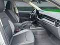 Skoda Fabia Essence 1,0 TSI 70 kW 5-Gang-Schaltgetrieb LED Spe Blanc - thumbnail 9