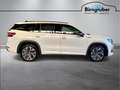Skoda Kodiaq Sportline iV TSI DSG Weiß - thumbnail 3