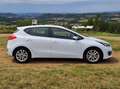 Kia Ceed / cee'd Ceed 1,4 Edition 7 Weiß - thumbnail 4