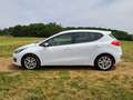 Kia Ceed / cee'd Ceed 1,4 Edition 7 Weiß - thumbnail 6