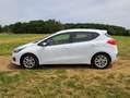 Kia Ceed / cee'd Ceed 1,4 Edition 7 Weiß - thumbnail 5