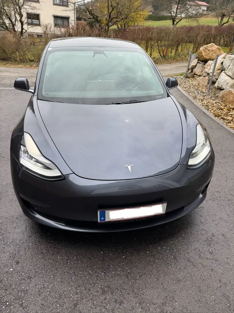 Tesla Model 3 Performance AWD Autopilot 8-Fach-Bereift Grau - 1