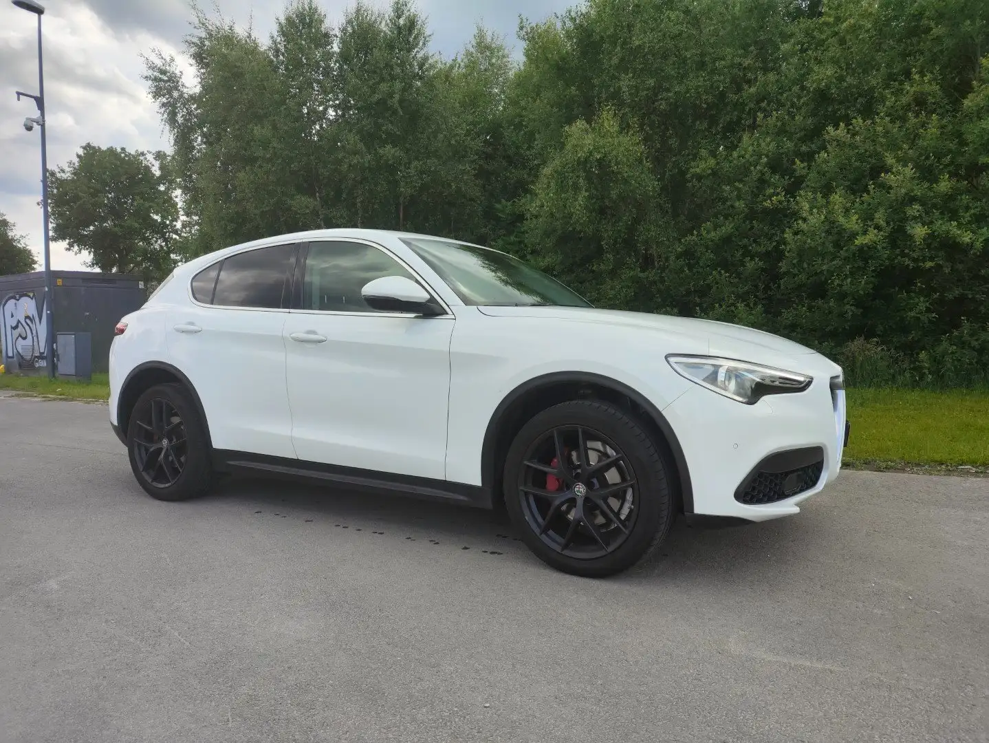 Alfa Romeo Stelvio Stelvio 2.0 T AWD Bílá - 1