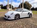 Porsche 997 Coupe 3.6 Turbo Motore nuovo Blanc - thumbnail 2