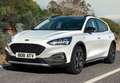 Ford Focus 1.0 Ecoboost Active 125 Gris - thumbnail 25