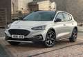 Ford Focus 1.0 Ecoboost Active 125 Gris - thumbnail 15