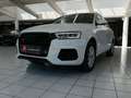 Audi Q3 2,0 TDI Intense Quattro *ALLRAD*NAVI*LED* Weiß - thumbnail 3