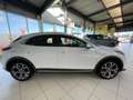 Kia XCeed 1.0 T-GDI Vision+Navi+Alu+AHK+Klima+SHZ+ Weiß - thumbnail 5