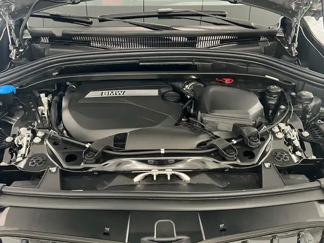 BMW X1 view 15
