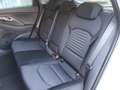 Hyundai i30 MJ25 1.5 TGDi 48V 6-MT Sondermodell ADVANTAGE Bleu - thumbnail 13