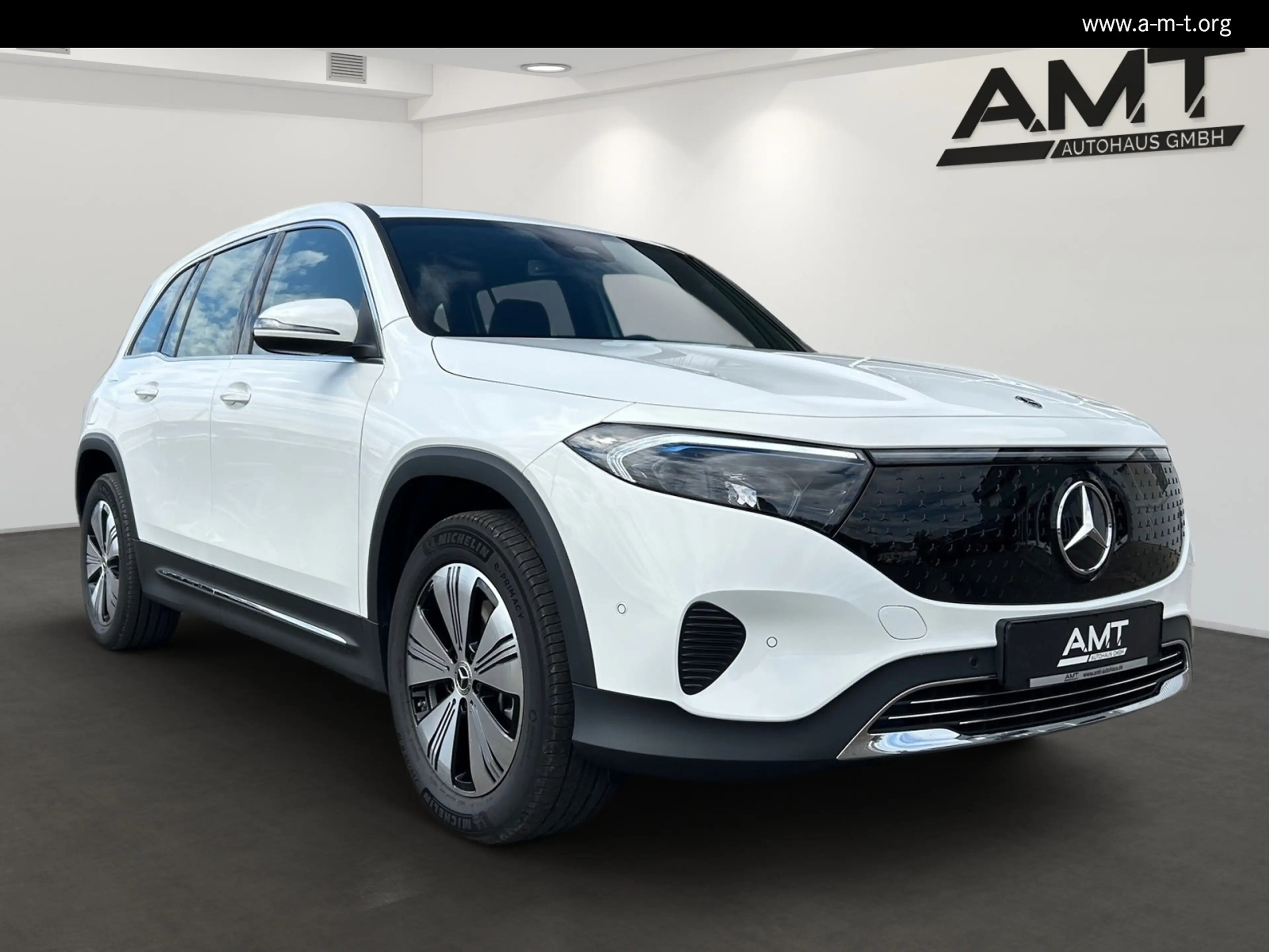 Mercedes-Benz EQB 250 EQB 250+ Progressive Adv. Winterpaket Kamera Navi — photo 2