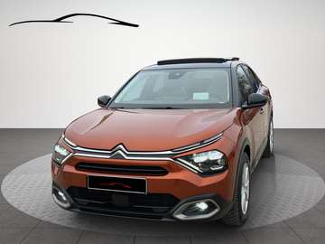 ë- Shine Panoramadach / Teilleder /