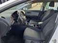 SEAT Leon St 1.6 Tdi 85 kw(115cv) St&sp Style Bianco - thumbnail 10