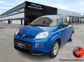 Fiat Panda Panda III 2021 1.0 firefly hybrid s Blu/Azzurro - thumbnail 1