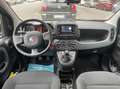 Fiat Panda Panda III 2021 1.0 firefly hybrid s Blu/Azzurro - thumbnail 8