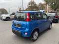 Fiat Panda Panda III 2021 1.0 firefly hybrid s Blu/Azzurro - thumbnail 15