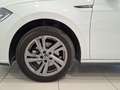 Volkswagen Polo 1.0 TSI R-Line DSG 85kW Blanco - thumbnail 14