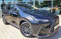 Lexus NX 350h Business Line *Business Connect Paket* Negru - thumbnail 1