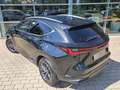 Lexus NX 350h Business Line *Business Connect Paket* Negru - thumbnail 6